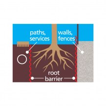 14376 - root barrier diagram
